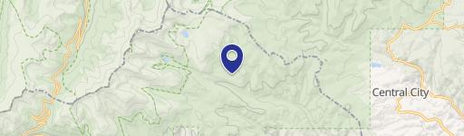 Treed Lot Near National Forest