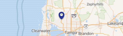 Cleared Land Parcel in Tampa