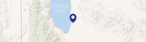 Hawthorne Retail Opportunity