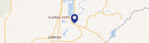 Established Blueberry Farm with Utilities