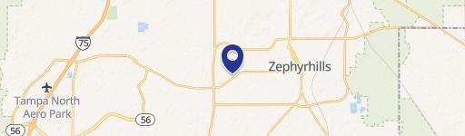 Zephyrhills Commercial Property on County