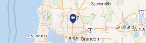 Income-Producing Tampa Quadruplex