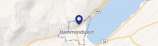 Established Business in Hammondsport