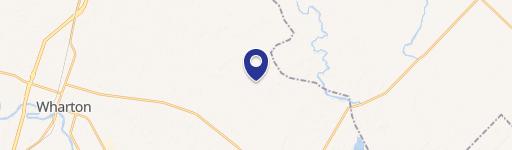 Thriving Pecan Orchard with Home