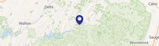 Margaretville Bar and Retail Space