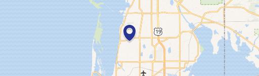 Dunedin Condo in 55+ Community