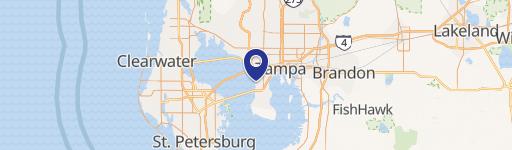South Tampa Vacant Lot