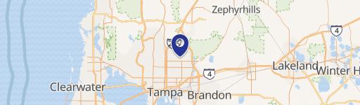 Spacious Townhouse Near USF Entrance