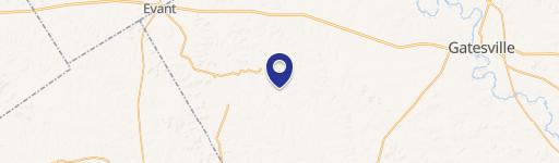 21.9 Acres Near Pearl, TX