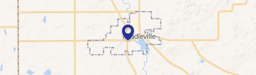 Middleville Duplex: Investment Opportunity