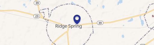 Ridge Spring Mixed-Use Property