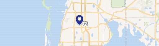 Remodeled Condo Near Dunedin Causeway