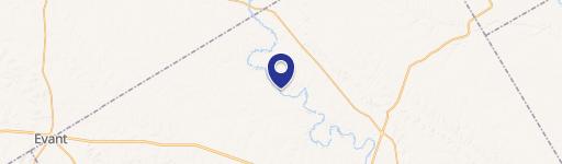 Expansive Land with Wildlife