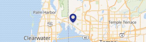 Westchase Land with Canal Access