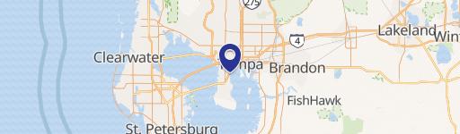 Luxury Condo on Bayshore Boulevard