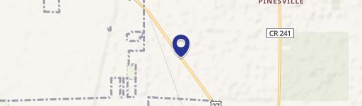 Expansive Archer Estate with Pines