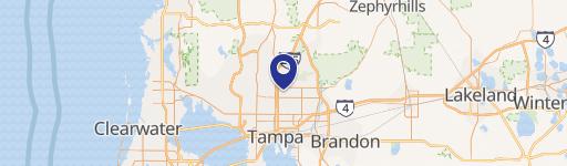 Cleared Parcel Near USF