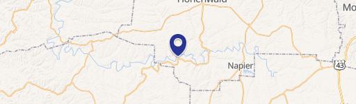 Wooded Land with Electric Hookup