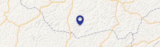 Heavily Wooded Hunting Land