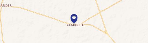 Texas Vineyard Estate with Pecan Orchard