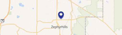 Zephyrhills Commercial Land Opportunity