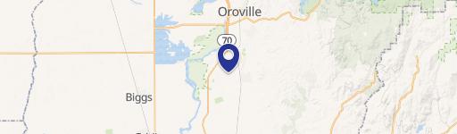 Palermo Land Ready for Orchard