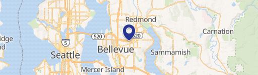 Bellevue Auto Service Center