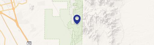 Pecan Farm with Horse Facilities