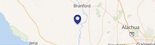 10 Acres with Planted Pines