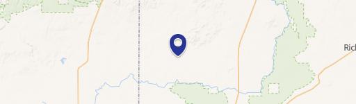 Shoshone Agricultural Property For Sale