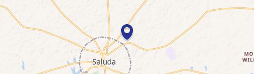 Food Lion Anchored Shopping Center