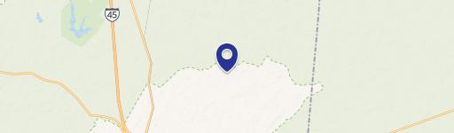 Wooded Acreage Near New Waverly