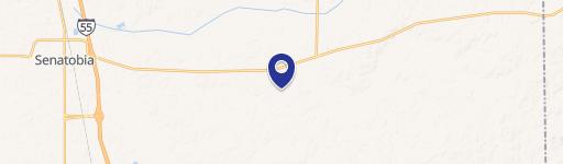 Wooded Acreage in Senatobia, MS