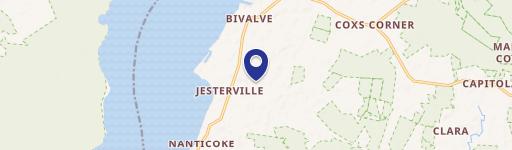 Cleared Lot in Bivalve, MD