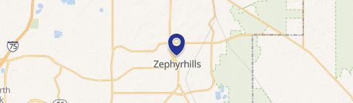 Versatile Commercial Lot in Zephyrhills