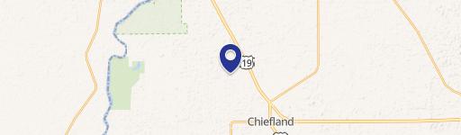 Chiefland Homestead with Acreage