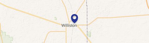 Levy County Wooded Land Parcel