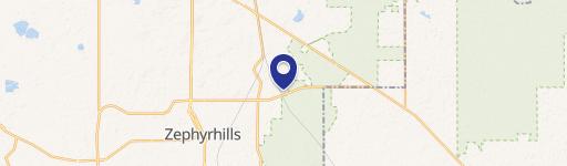 Zephyrhills Buildable Land Opportunity