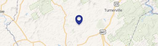 North Georgia Estate with Airstrip