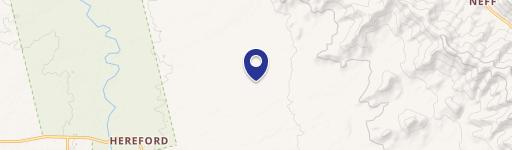 Hereford Land with Mountain Views