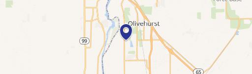 4199 Feather Riv Blvd