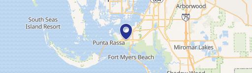 Palmetto Palms Land for Sale