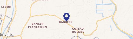 42.5 Acres Wooded Land