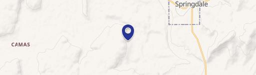 30 Acres of Treed Land