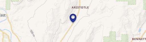 Spacious Residence on Forestland