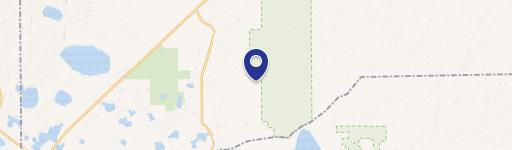 Wooded Land Near Keystone Heights