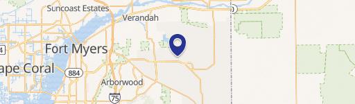 Vacant Land in Lehigh Acres