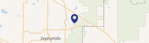 Zephyrhills Vacant Land Opportunity