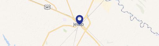 Land For Sale in Jesup