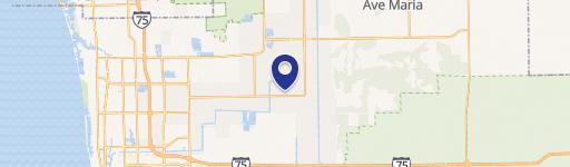 Vacant Land in Naples, FL